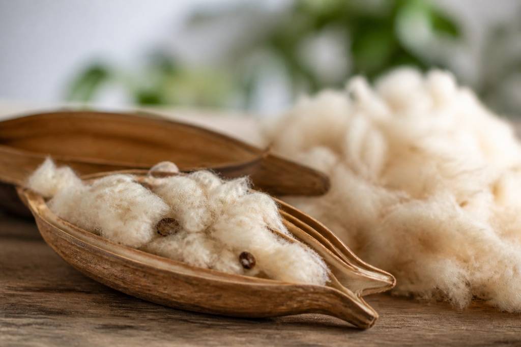 Le kapok : une fibre naturelle pour un sommeil plus confortable