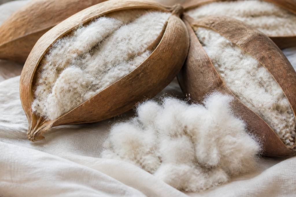 Kapok tissu : propriétés, avantages et usages pour une literie naturelle