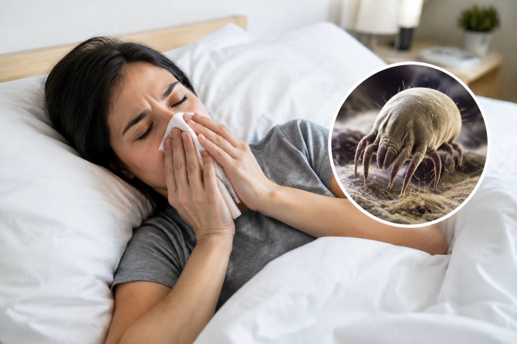 Les acariens sont-ils dangereux pour la santé et le sommeil ?